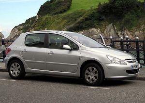 Peugeot 307 1.6 2004